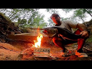 Fishing and cooking on a beautiful river. Using magic bait. Urban fishing today