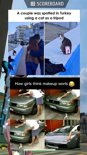 Funniest Meme Compilation: Using a Cat as a Tripod?! 🐱📱 #memes #funny #viral #edit #sorts