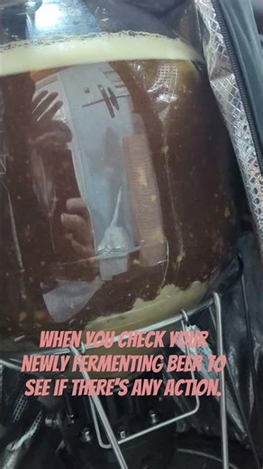 One thing I love about the Fermzilla. #homebrew #beer