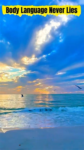 Body Language Never Lies