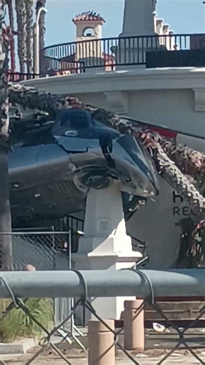 parrot in Huntington Beach CA helicopter crash site