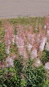 Cape Enrage Lighthouse, NB | Northern Traveler