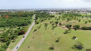 Coming soon on CBC TV 8, Our National Botanical Gardens. 🌿🌳🍃 #BotanicalGardens | CBC Barbados
