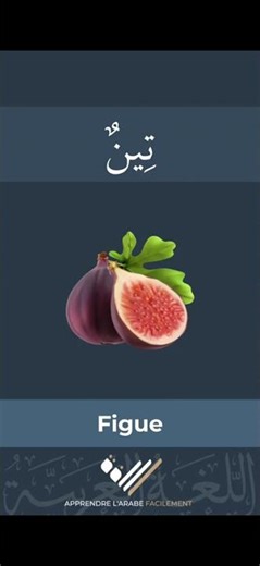 Guess the meaning