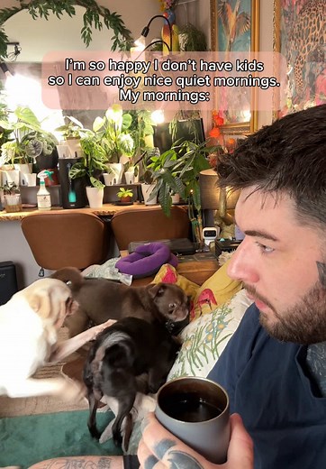 Funny Pug Videos: Hilarious Moments with Dogs
