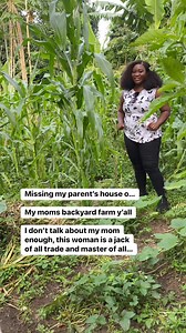 47 reactions · 5 comments | Missing my parent’s house o…凉 My moms...