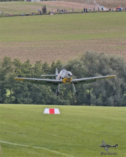 Messerschmitt Bf-109 🇩🇪 or Supermarine Spitfire 🇬🇧 – both legends on grass! 👉 Which one’s your favorite? #Bf109 #spitfire #messerschmitt #fblifestyle | Warbirds