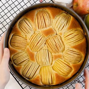 German Apple Cake is a fun fall dessert that tastes so delicious 🍎🍏 RECIPE: https://platedcravings.com/german-apple-cake-recipe/ | Plated Cravings