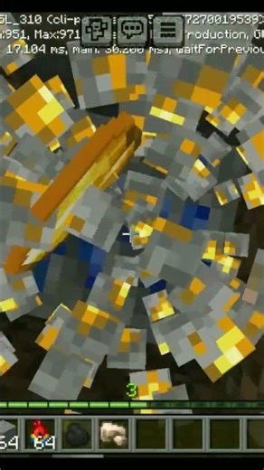 parrots secret room#youtubeshorts