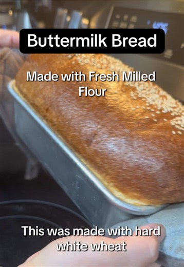 Fresh Milled Buttermilk Bread with Hard White Wheat