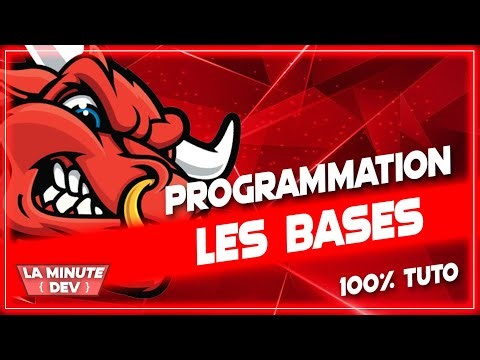 ⭐ Bases de la programmation informatique ! 100% tutoriel ⭐