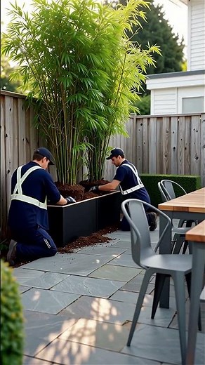 The fastest way to get absolute PRIVACY in your backyard 🌿🏡 #landscaping #diy #garden