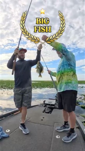 Big Fish of the Day #bluegill #fishing #crappie #shellcracker #kissimmee