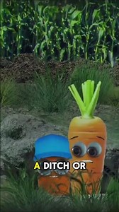 How to survive a tornado!!