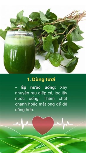 5 Cách Dùng Rau Diếp Cá - Khắc Tinh BỆNH TRĨ | Bột Diếp Cá - Giải Pháp Cho Người Bị Trĩ