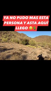 Conociendo Arizona Con Alex on Reels