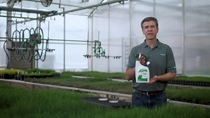 Scotts Turf Builder 42 lbs. 14,000 sq. ft. Starter Dry Lawn Fertilizer for New Grass, Use When Planting Seed 21814