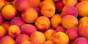 Know Some Of The Amazing Health Benefits Of Eating Peaches | Herzindagi