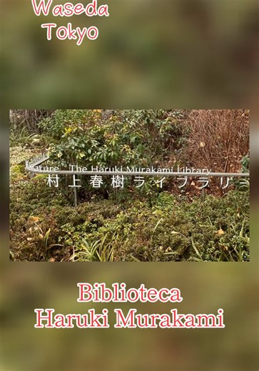 Explora las Bibliotecas de Haruki Murakami en Tokio