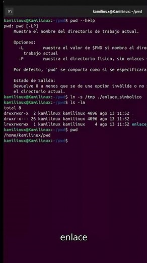 Cómo usar el comando pwd en Linux #shorts
