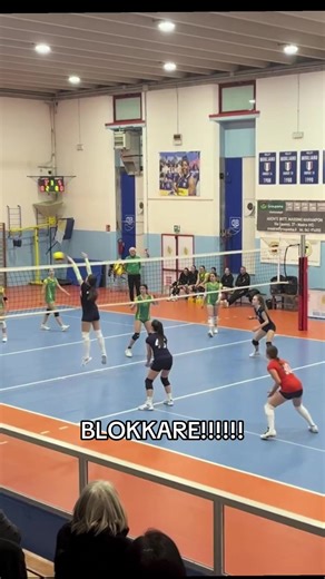 The Art of Blocking in Volleyball