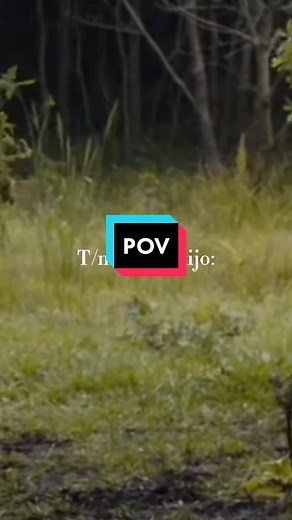 POV: creo que ya se ve 🥴#mazerunner #newt ❤️