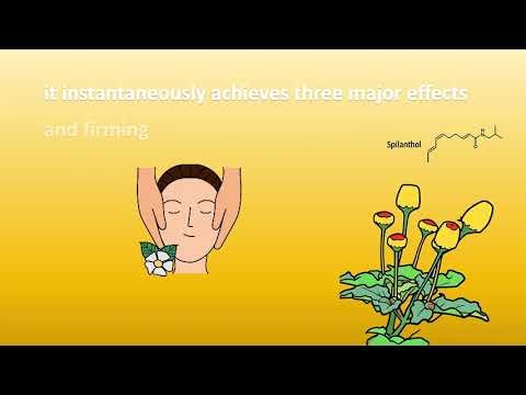 Anti-wrinkle Natural Active Ingredient-Acmella oleracea extract.