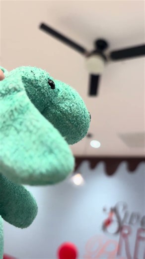 Hunter Leoni ceiling fans (UPDATE) (Feat Diddley)