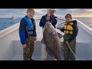 Georgia Sheepshead Spawn Fishing | Nearshore Reef Surprise