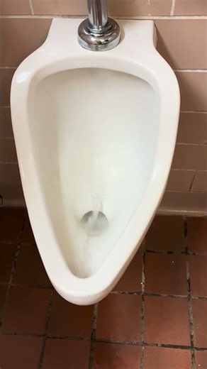 1950s Kohler Derry urinal