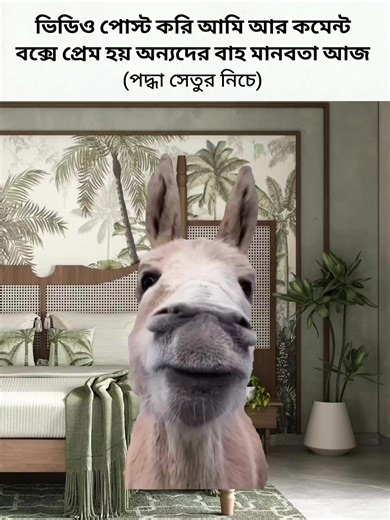 মানবতার পরিচয় পদ্ধা সেতুর নিচে