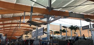 3K views · 104 reactions | More than 72,000 people are expected to travel through RDU today and tomorrow, so be sure to: 1. Arrive 2 hours before your departure time, 2. Check parking lot status at rdu.com, 3. Use our Cell Phone Lot to wait for arriving passengers #ChooseRDU #FlyRDU | Raleigh-Durham International Airport (RDU) | Facebook