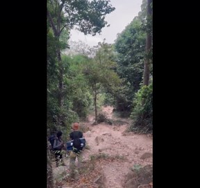 Wild elephant ambles past tourists hiking in Thailand