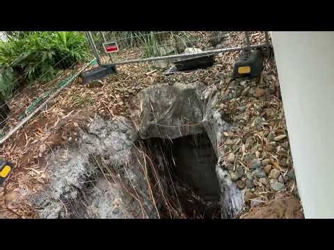 Urgent tree work rigging