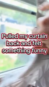 Fear Factor Friday! I wouldn’t touch those with a measuring cup… #fearfactor #bugasalt #pestcontrol #fireyourflyswatter #nontoxic | Bug-A-Salt