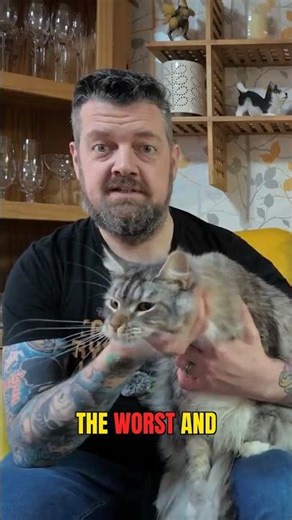 Cats & Snakes: Don't hope for the best, prepare for the worst #snake