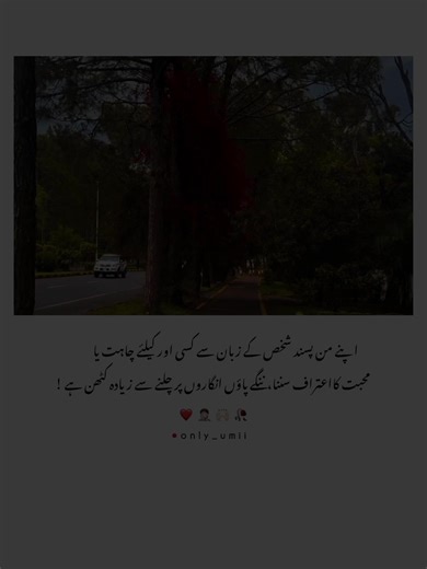 Dil Ki Batain: Urdu Poetry Insights