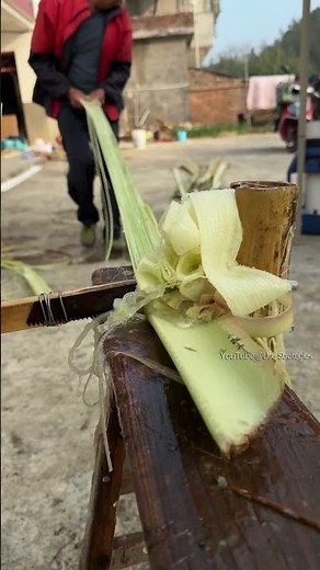 Hand-scraping tree bark and tips for using serrated tools!