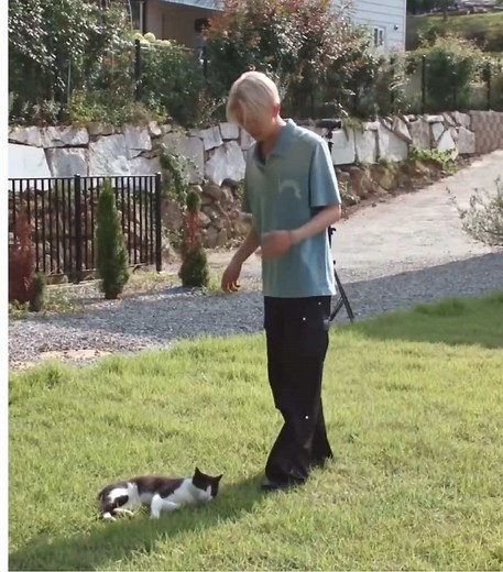 Heeseung Humming with His Cat: Adorable Moments