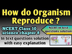 How do organisms reproduce? CBSE Class 10 science chapter 8 : In text questions solution : NCERT
