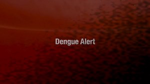 Use mosquito repellent regularly to protect yourself and your family from mosquito bites, especially if you live in areas with high numbers of dengue cases (www.nea.gov.sg/dengue-zika/dengue/dengue-clusters), or high Aedes mosquito populations (www.nea.gov.sg/dengue-zika/Aedes). Repellents containing DEET (N,N-diethyl-m-toluamide), picaridin or IR3535 as the active ingredient, are the most effective in repelling mosquitoes. They block the mosquitoes’ sense of smell, preventing them from finding 