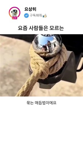 일상이 편해지는 천재적인 생활 도구 활용법