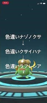 ポケモンGO 色違いナゾノクサ出現！色違いクサイハナ、色違いラフレシアへ進化！ #ポケモン #pokémon #ポケモンgo #pokemongo