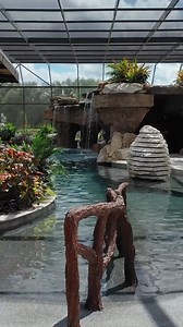 26K views · 3.4K reactions | Backyard Goals: Lazy River. The client wanted the Ultimate Insane Pool Experience! How did we do? Lazy River Pool with one of the Biggest Screened Enclosures in South Florida. We Design & Build Insane Pools! #insanepools #lucaslagoons #poolbuilders #pool #backyardoasis #construction | Lucas Lagoons | Facebook