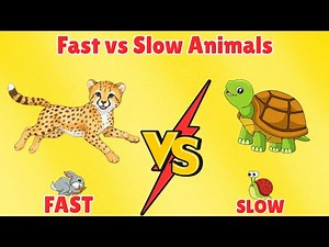 Learn Amazing Fast and Slow Animals Name |Animals for Kids | Learn About Animal Speeds