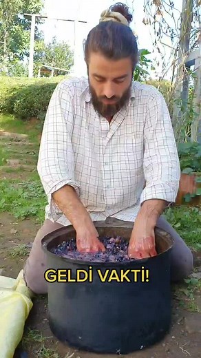 Grape Processing Techniques Revealed Outdoors