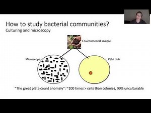 Microbial Ecology