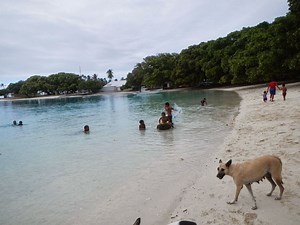 Likiep Atoll - Alchetron, The Free Social Encyclopedia