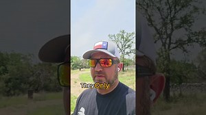 Is crossbreeding feral pigs and warthogs possible? Key facts