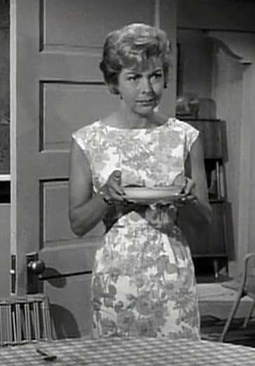 My Favorite Martian S01:E03 - There Is No Cure for the Common Martian